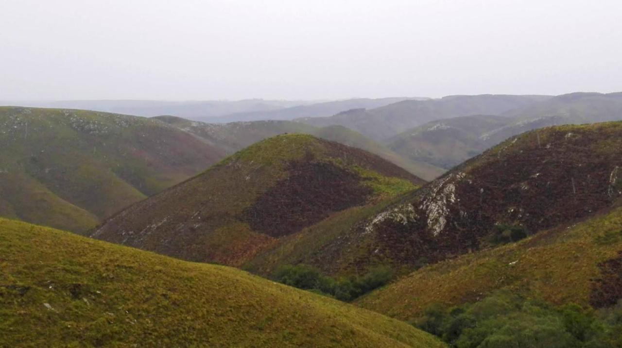 Rincon De Los Matreros Isla Patrulla Dış mekan fotoğraf