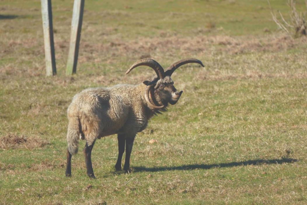 Rincon De Los Matreros Isla Patrulla Dış mekan fotoğraf